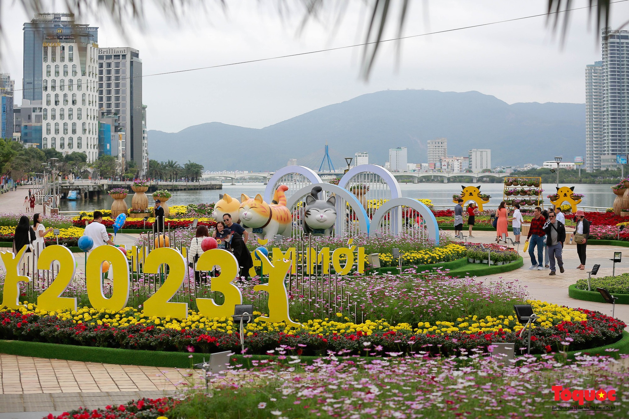 Người dân và du khách thích thú &quot;check-in&quot; đường hoa xuân Đà Nẵng 2023 - Ảnh 1.