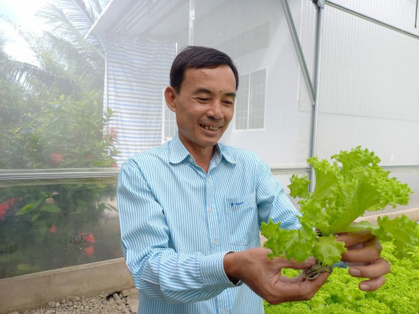 Bỏ ghế giám đốc về trồng rau thủy canh thu nhập hơn 100 triệu đồng/tháng Bỏ ghế giám đốc về trồng rau thủy canh thu nhập hơn 100 triệu đồng/tháng