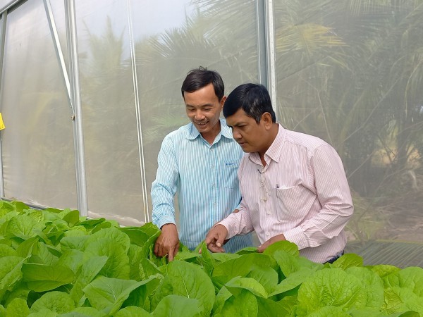 Bỏ ghế giám đốc về trồng rau thủy canh thu nhập hơn 100 triệu đồng/tháng Bỏ ghế giám đốc về trồng rau thủy canh thu nhập hơn 100 triệu đồng/tháng