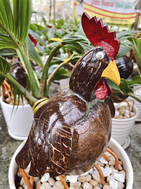 Bội thu nhờ bán "dừa bonsai" trưng Tết, chưa kịp dọn hàng đã bán hết bay