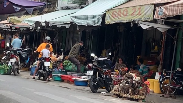 Bơm chất lạ vào gà trước khi đưa ra chợ tự phát ở TP.HCM bán