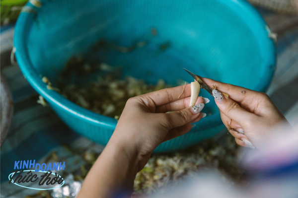 Các chị, các mẹ chọn ngâm củ kiệu bán tại nhà, tưởng đơn giản nhưng vẫn là việc kiếm ra tiền cho mùa Tết lẫn ngày thường Các chị, các mẹ chọn ngâm củ kiệu bán tại nhà, tưởng đơn giản nhưng vẫn là việc kiếm ra tiền cho mùa Tết lẫn ngày thường