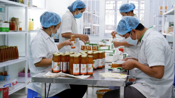 CEO trẻ xây dựng chuỗi giá trị mới cho cây dừa vùng ngập mặn CEO trẻ xây dựng chuỗi giá trị mới cho cây dừa vùng ngập mặn