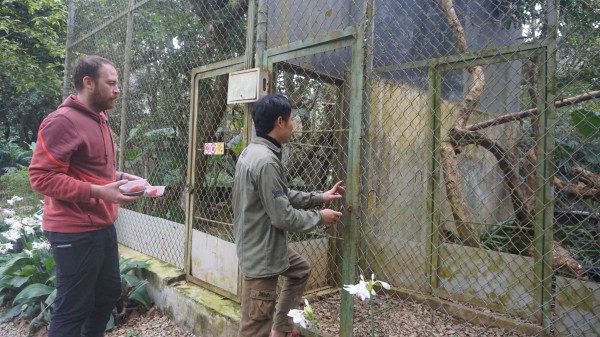 Chuyện về chú mèo rừng trở thành đại sứ giáo dục ở Cúc Phương
