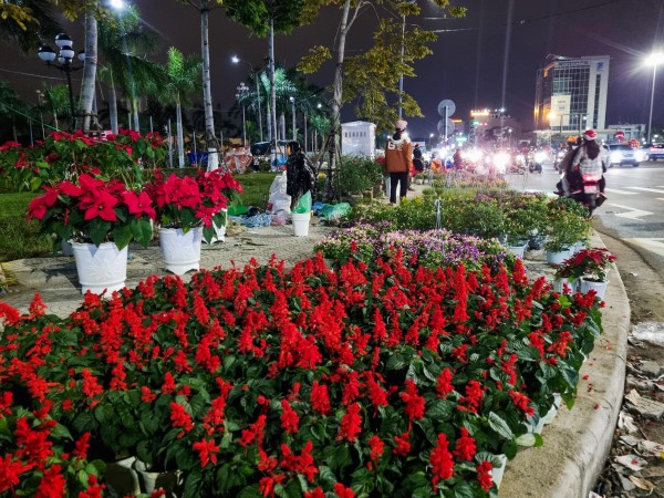 Đà Nẵng: Hoa tết giảm giá ‘sập sàn’ vẫn nằm la liệt không có người mua
