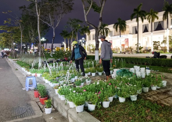 Đà Nẵng: Hoa tết giảm giá ‘sập sàn’ vẫn nằm la liệt không có người mua