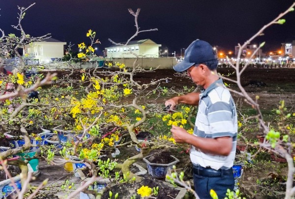 Đà Nẵng: Hoa tết giảm giá ‘sập sàn’ vẫn nằm la liệt không có người mua