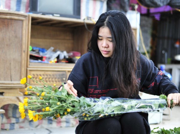 "Đại gia hoa Tết" ở Hà Nội tiếc nuối vì phải thu hoạch sớm