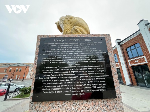 Độc đáo quảng trường mèo Siberia ở thành phố Tuymen-Nga