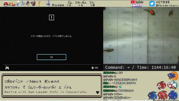 Độc lạ Nhật Bản, chủ nhân mất tiền oan vì cho cá cảnh chơi game