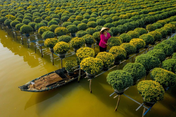 Đón tết tại 