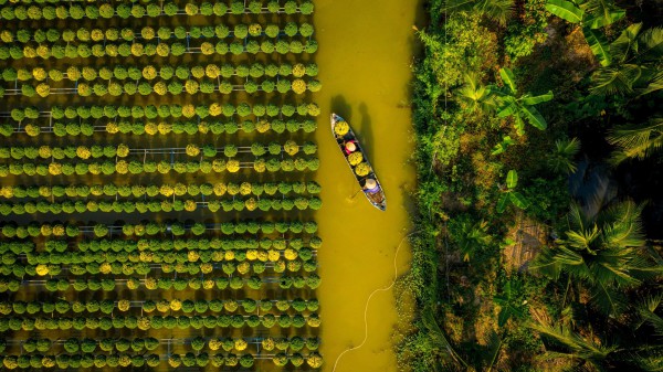 Đón tết tại 