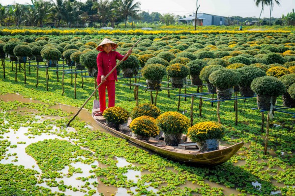 Đón tết tại 