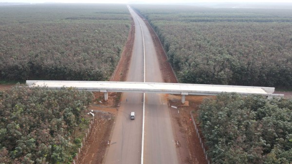Hàng loạt ô tô, xe máy ‘đi lụi’ trên cao tốc Phan Thiết - Dầu Giây