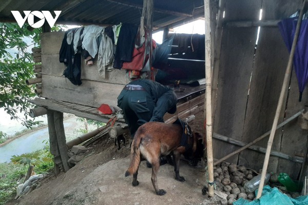 Hàng trăm người tham gia vây bắt đối tượng giết người trên đồi cao su tại Lai Châu