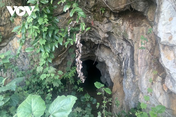 Hàng trăm người tham gia vây bắt đối tượng giết người trên đồi cao su tại Lai Châu