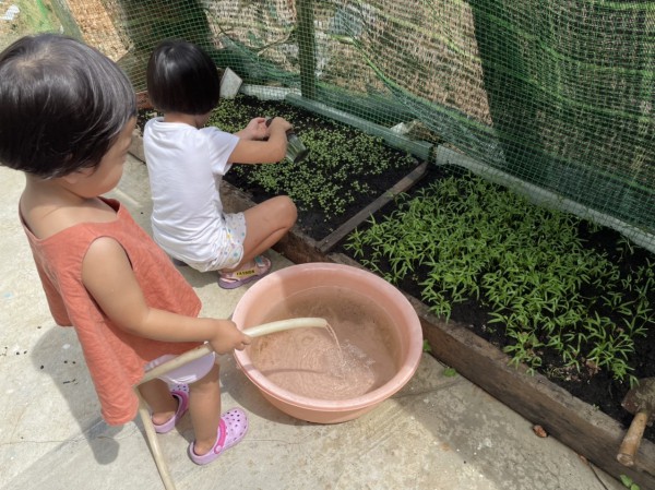 Học sinh béo phì tăng: Do phải học quá nhiều?