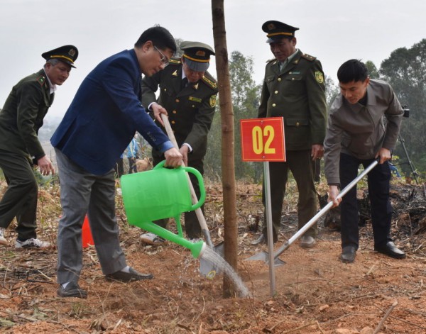 Huyện Tân Yên phấn đấu trồng 600 nghìn cây xanh mỗi năm