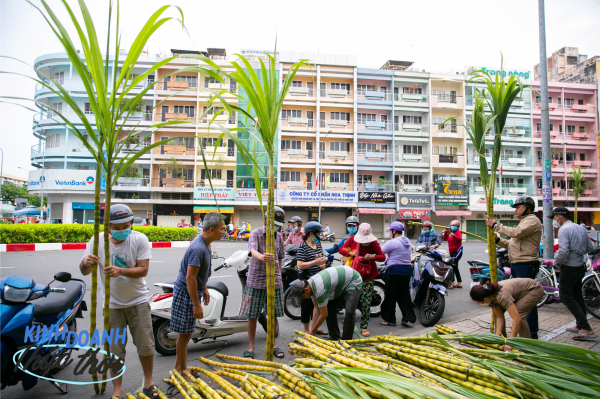 Kiếm hàng chục triệu chưa đầy 24 giờ nhờ phong tục mua mía vàng cúng vía Trời ở Sài Gòn Kiếm hàng chục triệu chưa đầy 24 giờ nhờ phong tục mua mía vàng cúng vía Trời ở Sài Gòn