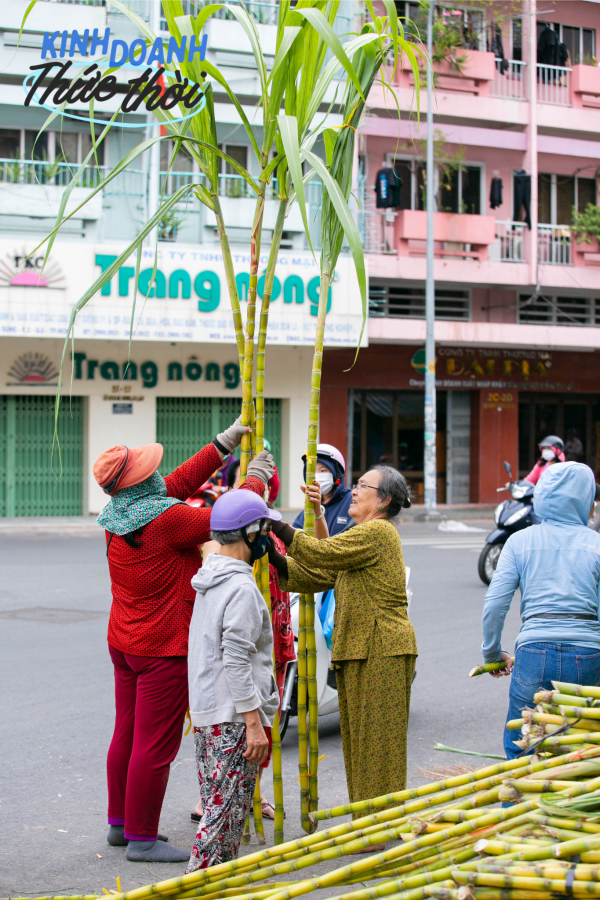 Kiếm hàng chục triệu chưa đầy 24 giờ nhờ phong tục mua mía vàng cúng vía Trời ở Sài Gòn