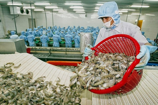 Kim ngạch xuất khẩu thủy sản năm 2023 sẽ giảm? Kim ngạch xuất khẩu thủy sản năm 2023 sẽ giảm?
