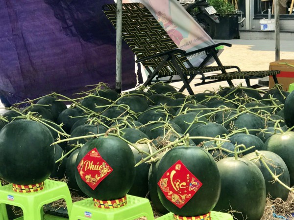 Lá dong, lạt giang... gói bánh về phố