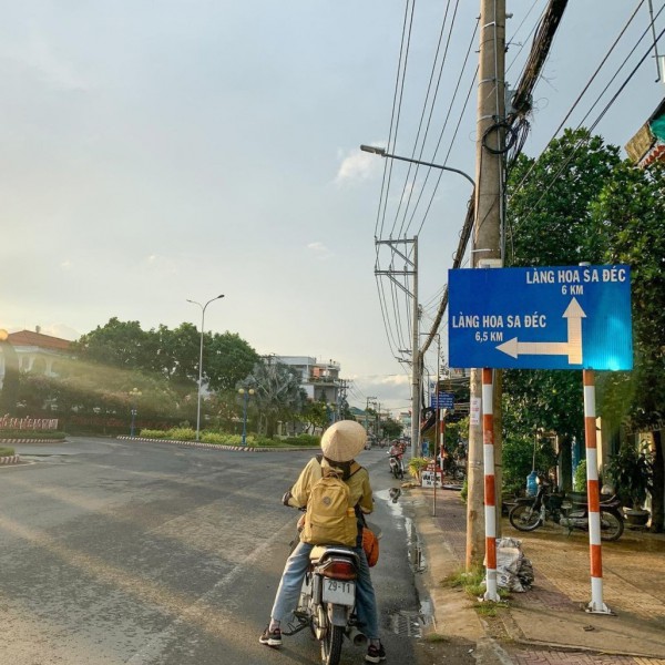 Làng hoa Sa Đéc rực rỡ đón Tết, nhiều người rục rịch lên kế hoạch đến “sống ảo” và ngắm muôn loài hoa