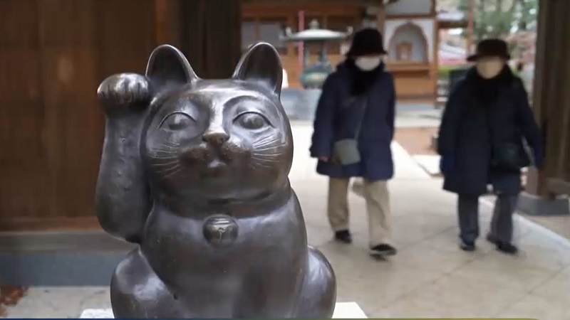 Những câu chuyện thú vị về mèo Những câu chuyện thú vị về mèo