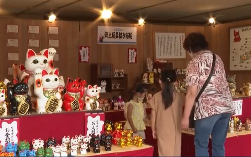 Những câu chuyện thú vị về mèo Những câu chuyện thú vị về mèo