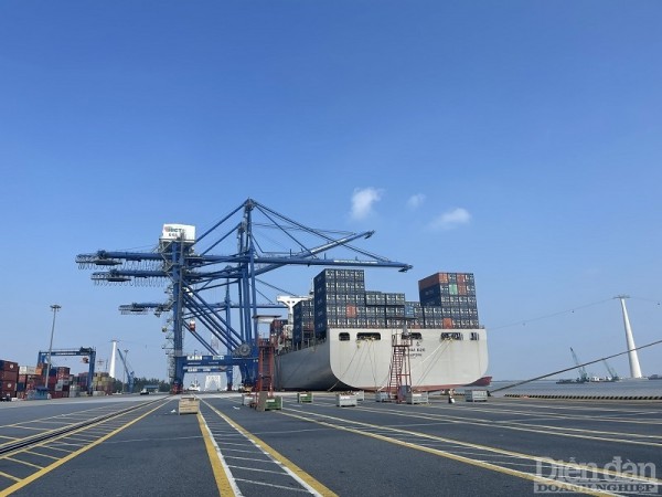 Những mã hàng đầu tiên của năm 2023 trên các bến cảng Hải Phòng Những mã hàng đầu tiên của năm 2023 trên các bến cảng Hải Phòng