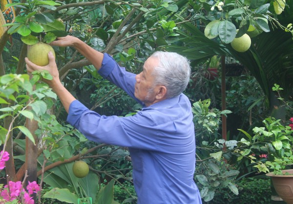 Những nén hương thơm