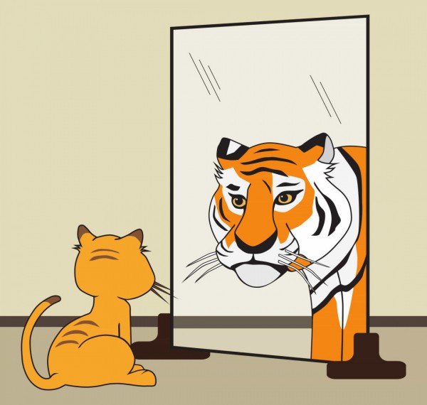 Những sự thật thú vị về mèo khiến bạn đi từ bất ngờ này đến bất ngờ khác