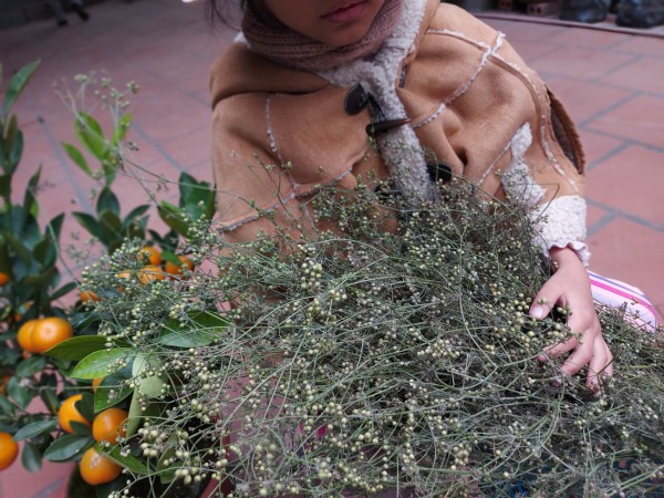 Nồi mùi già ngày tết đánh thức cả trời thương nhớ