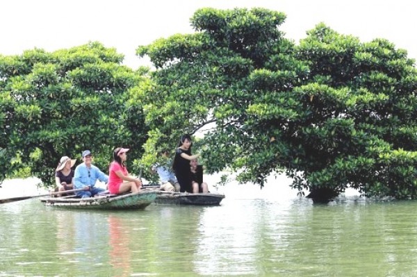 Quảng Ninh: Phát huy vai trò của thanh niên trong bảo vệ môi trường