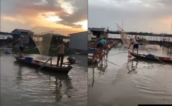 Sụp đất dưới đáy sông Cổ Chiên, hơn 2 tấn cá cận ngày thu hoạch mất trắng