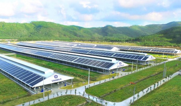 Thách thức nào khiến doanh nghiệp khó tiếp cận ESG? Thách thức nào khiến doanh nghiệp khó tiếp cận ESG?