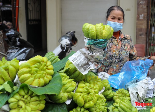 "Thủ phủ" phật thủ Đắc Sở tất bật vào vụ Tết Quý Mão "Thủ phủ" phật thủ Đắc Sở tất bật vào vụ Tết Quý Mão
