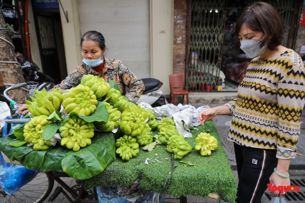 "Thủ phủ" phật thủ Đắc Sở tất bật vào vụ Tết Quý Mão "Thủ phủ" phật thủ Đắc Sở tất bật vào vụ Tết Quý Mão
