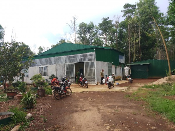 Vụ hành hung người tố cáo phá rừng: Khởi tố vụ án