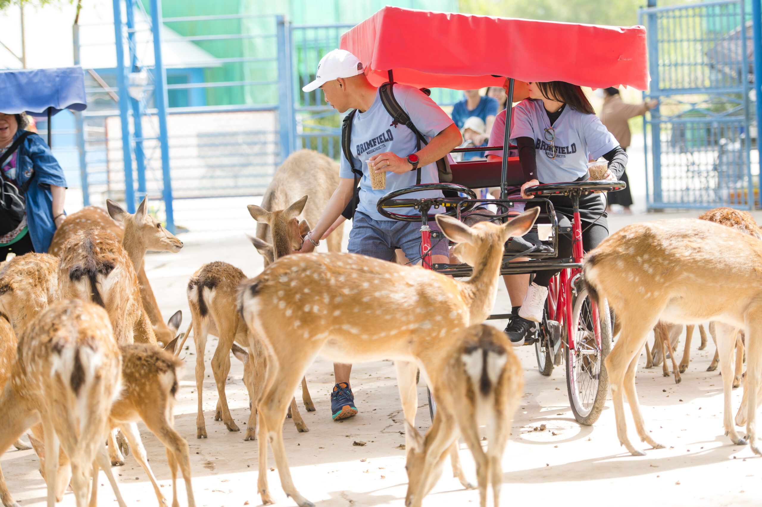 Vườn thú ở Long An đón con Tê giác trắng thứ 3 chào đời