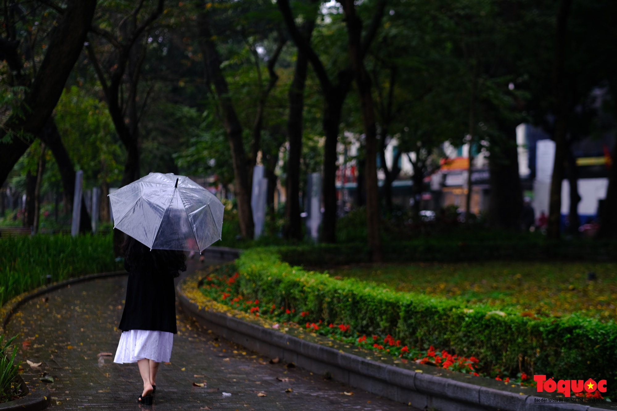 Hồ Gươm mờ ảo cổ kính, quyến rũ khi sương mù bao phủ - Ảnh 11.