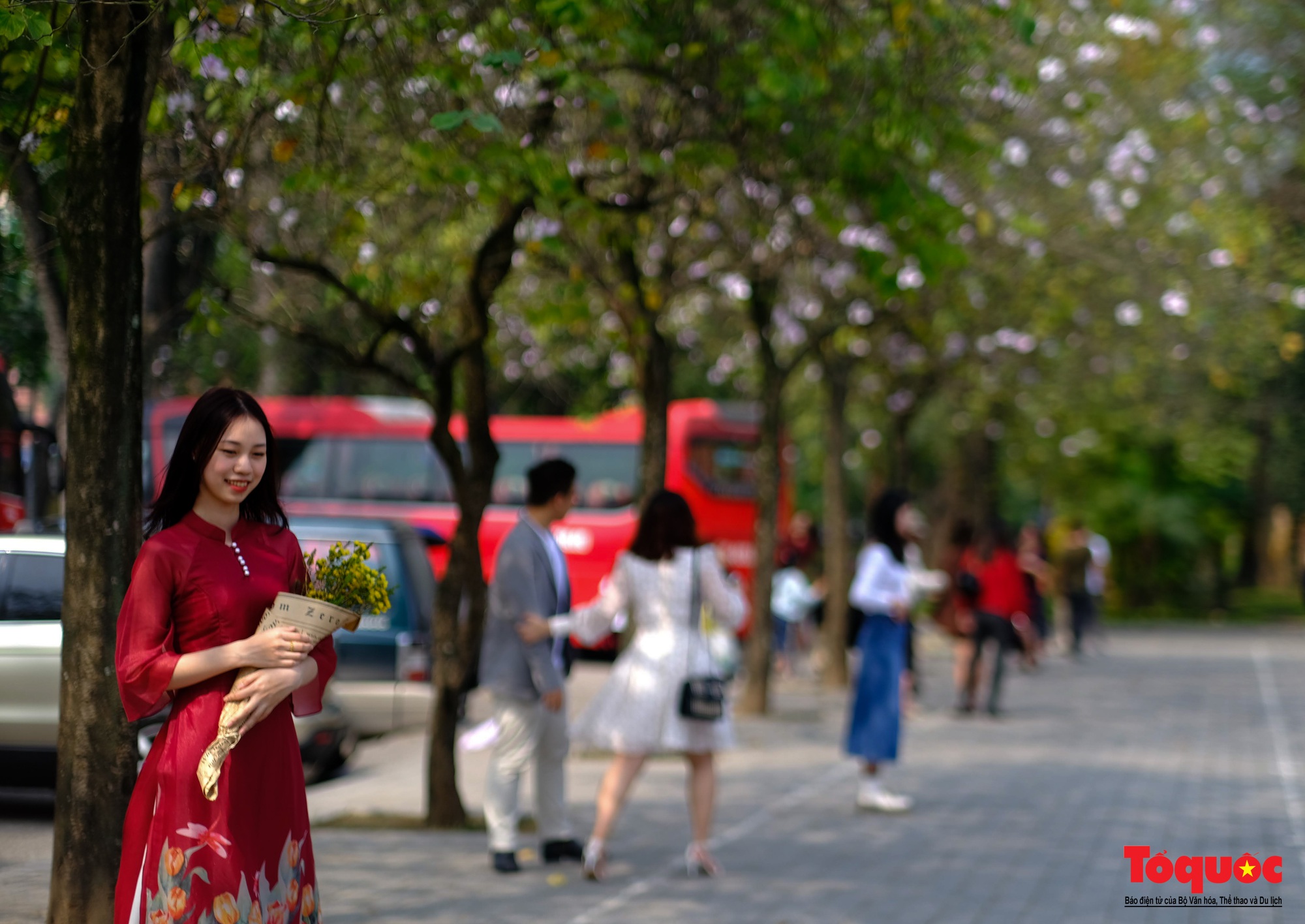 Ngắm hoa ban nở rực rỡ trên đường phố thủ đô - Ảnh 8.