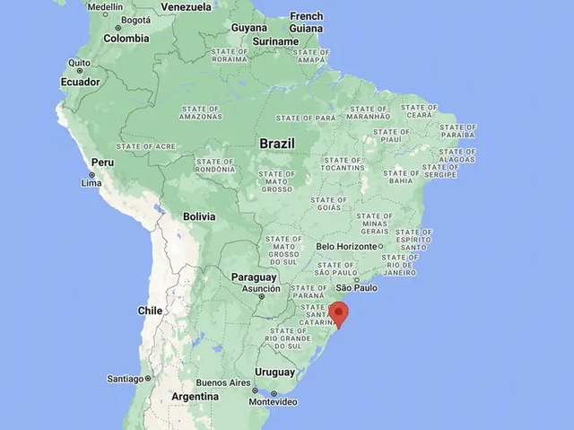 Ở một làng chài nhỏ, cá heo hoang dã đã biết cách hợp tác với con người để cùng bắt cá - Ảnh 4.