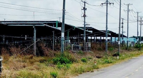 Bạc Liêu: Dự án đóng tàu cá nhưng đầu tư ‘chui’ điện năng lượng mặt trời