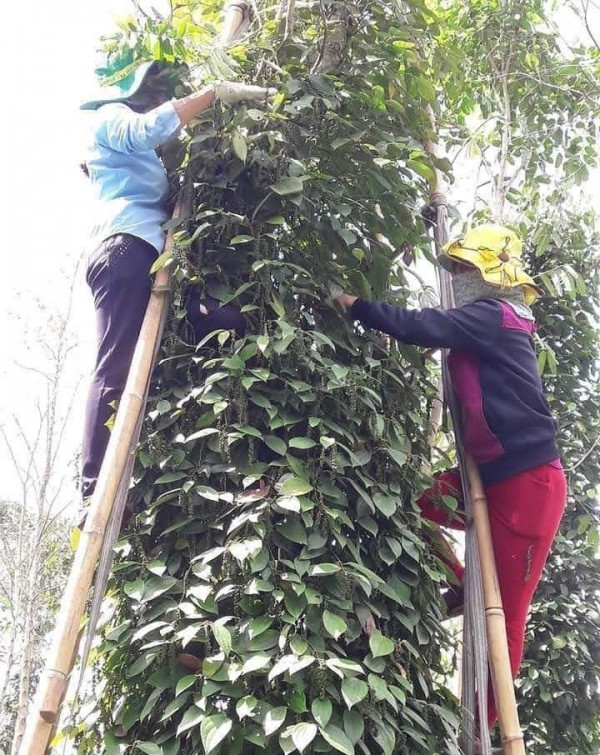 Cẩn trọng với thông tin Cẩn trọng với thông tin
