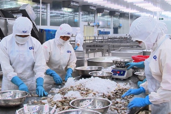 "Cánh cửa" EVFTA chưa rộng mở với ngành xuất khẩu thủy sản