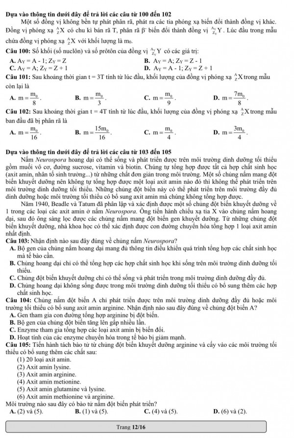 Có gì mới trong đề thi mẫu đánh giá năng lực ĐH Quốc gia TP.HCM 2023?