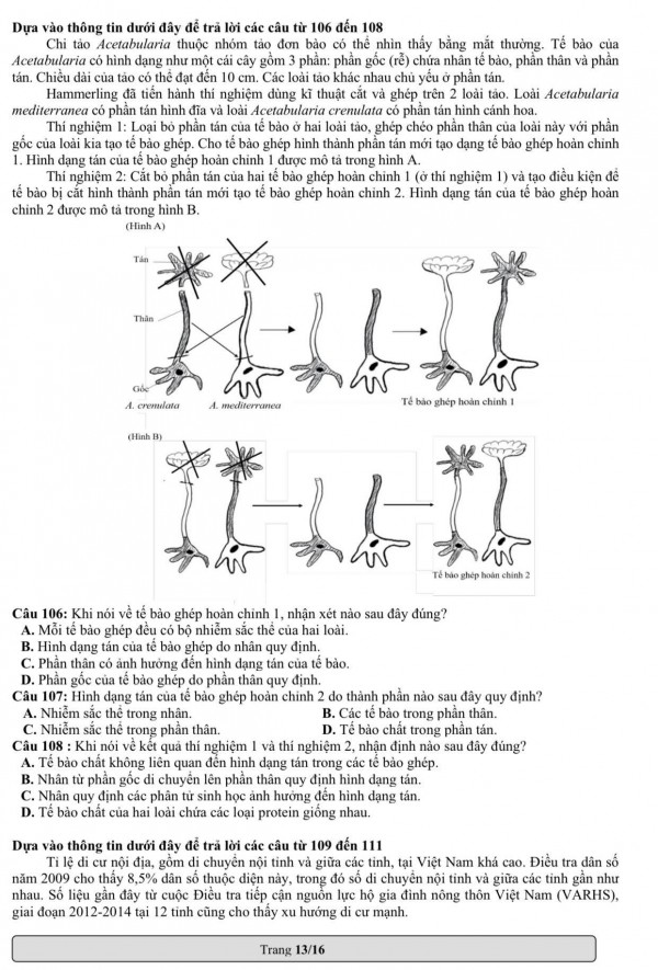 Có gì mới trong đề thi mẫu đánh giá năng lực ĐH Quốc gia TP.HCM 2023?