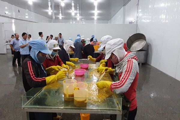 Cơ hội vươn tầm cho chanh dây Việt Nam