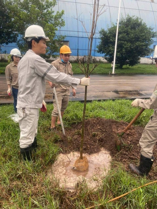 Công ty Đạm Ninh Bình tổ chức phát động tết trồng cây xuân Quý Mão 2023